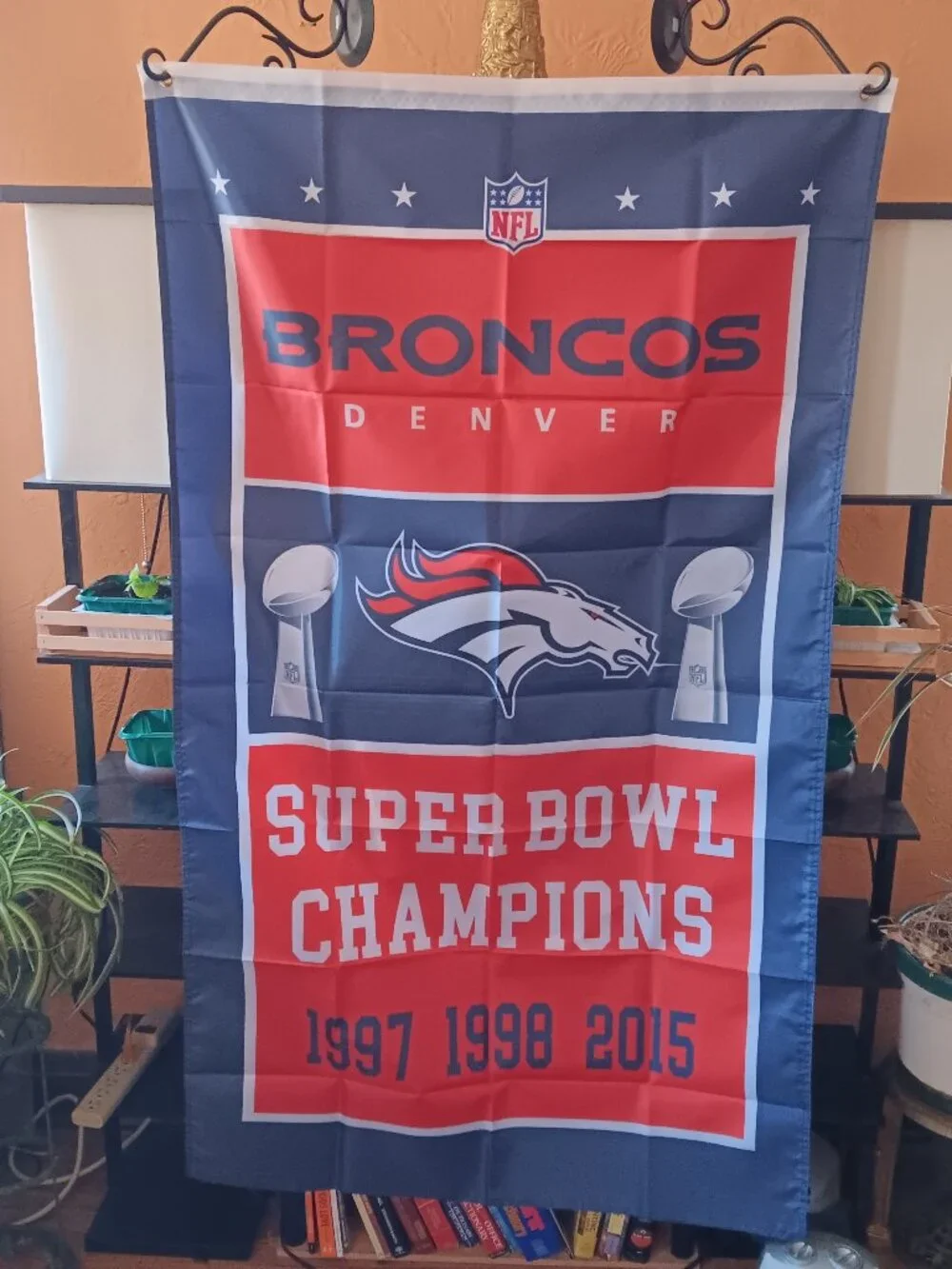 Denver Broncos Super Bowl Champion NFL 3X5 Feet Flag Banner Pole or Wall Decor